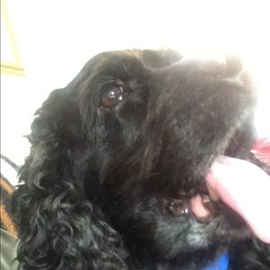 Meet your Posher, Dana